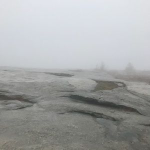 Meet your Posher, Jackson